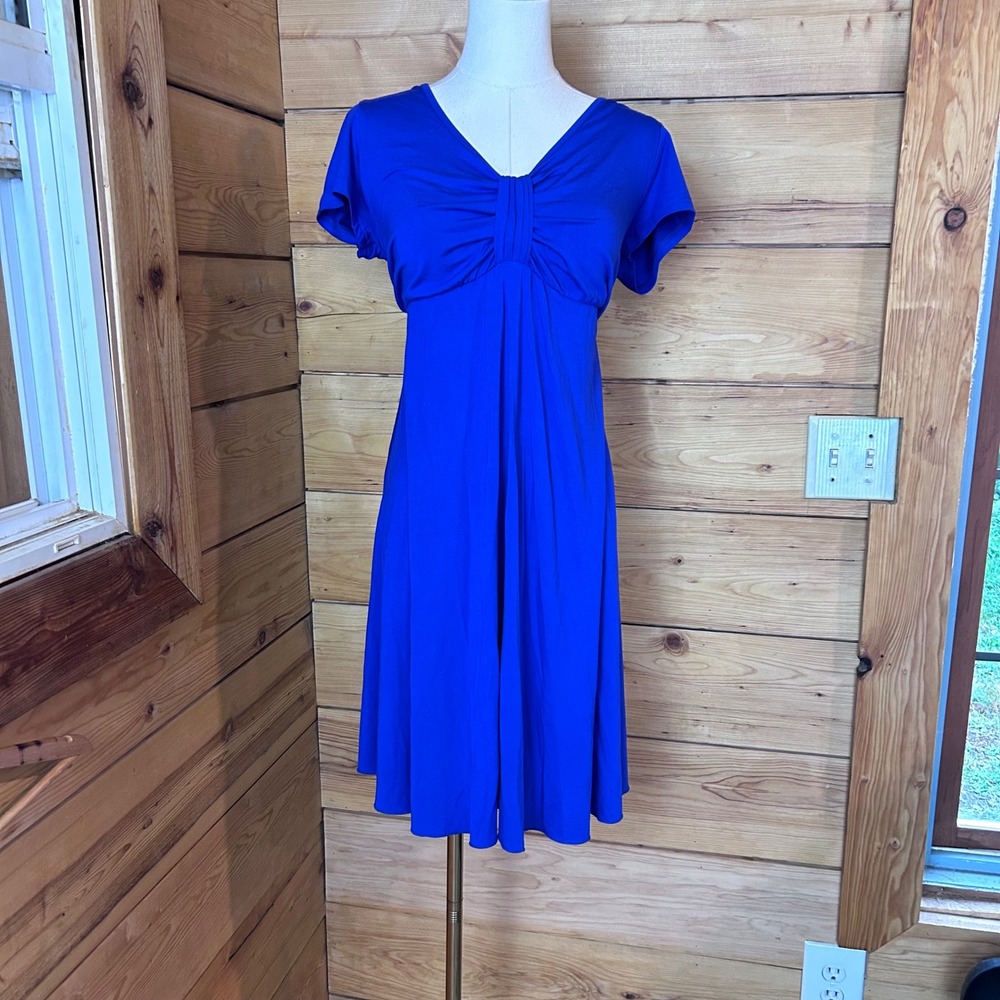 Bamboo Fit and Flare Empire Waist Dress Women Large Royal Blue Blue Sky Clothing